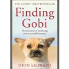 Finding Gobi: The True Story Of A Little Dog And An Incredible Journey - Dion Leonard, Harper Collins