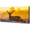 Foto obraz tlačený na plátne Jeleň východ slnka 100x50 cm