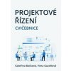 Projektové řízení