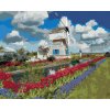 Zuty – Maľovanie Podľa Čísel – Veterný Mlyn A Tulipány (Dennis Frates), 40 × 50 cm, Plátno + Rám 8596530160335