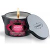 Masážní svíčka Ignite Massage Candle 170g Strawberry