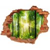 Diera 3D foto tapeta nálepka Forest na slnku 90x70 cm