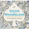 Escape to Wonderland: A Colouring Book Adventure
