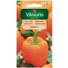 VILMORIN Paprika sladká oranžová KUBISTA