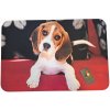 Rohožka z gumy s motívom šteniatka bígla, 60 × 40 cm