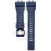 CASIO 10561444 - Plastový remienok CASIO GBA-800-2A (2882)