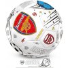 Fan shop ARSENAL FC Colour