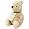 Rainbow Designs Limited Rainbow Plyšový Medvedík Pú
