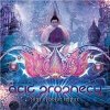 Acid Prophecy - Sons Of Solar Empire