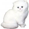 CutePets plyšová mačka – biela 3899
