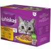 Whiskas hydinové hody v želé, kura, kačka, hydina, morka 12 x 85g