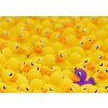 RAVENSBURGER Puzzle Challenge: Kačenky 1000 dílků