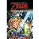 Legend of Zelda: Twilight Princess, Vol. 9