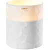 ONNO collection LUXUSNÁ VONNÁ SVIEČKA ONNO L - GINGER FIG