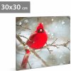 LED obraz - kardinál červený - 30 x 30 cm