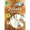 Zvířata našich lesů - Vědomosti i zábava