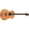 Taylor JCSM-6 Jacob Collier
