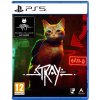 Stray PS5