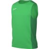 Nike | M NK DF ACD23 TOP SL | zelená| XS