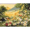 Zuty Diamantové maľovanie Letná lúka