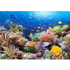 CASTORLAND Puzzle Korálový útes 1000 dílků