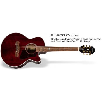 Epiphone EJ200