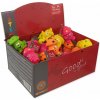 Displej Hračky Dog Fantasy Latex Mushroom set 60ks