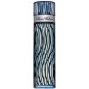 Paris Hilton For Men toaletná voda sprej 100 ml EDP