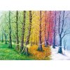 Puzzle Vlákna života 1000 dielikov MAGNOLIA