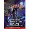 Blackfire Kniha Forgotten Realms: Adventures in Faerun