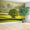Fototapeta Anglie derbyshire