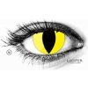 MaxVue Vision ColorVue Crazy Cat Eye šošovky trojmesačné dioptrické 2 ks