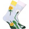 Veselé ponožky Dedoles Púpavová jar (D-U-SC-RS-C-C-15612) S 120 dní na výmenu alebo vrátenie tovaru!