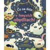 Čo sa deje v hmyzích obydliach?