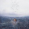 Mendes Shawn • Wonder