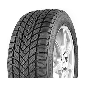 Mastersteel Winter + 225/45 R17 94H