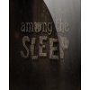 ESD Among the Sleep ESD_1551
