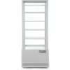 Arktic 233269