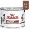 Royal Canin VHN Dog & Cat Recovery Konzerva 12 x 195 g
