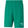 Pánské šortky Short M 05 model 16082269 - Puma M