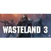 Wasteland 3