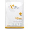 VetExpert 4T Renal Cat 100 g
