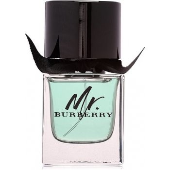 Burberry Mr. Burberry toaletná voda pánska 50 ml