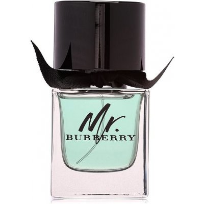 BURBERRY Mr. Burberry EdT 50 ml