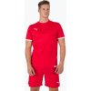 Puma teamLIGA M dres 704917 01