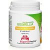 Superionherbs Boswellia Phytosome® - boswellin s vysokou vstrebateľnosťou, 90 kapsúl