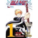 Bleach 1 - Tite Kubo