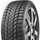 Delinte WD6 225/50 R17 98H