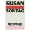 Regarding the Pain of Others (SONTAG SUSAN)(Brožovaná)