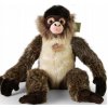 Eco-Friendly opica chápaný 30 cm